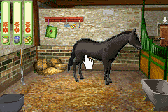 Paard & Pony - Paard in Galop (Netherlands) (En,Nl) Cover