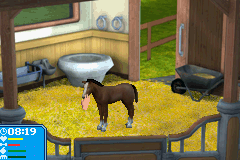 Pferd & Pony - Mein Pferdehof & Pferd and Pony - Lass Uns Reiten 2 (Germany) Cover