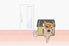 Poke Inu (Japan) Cover