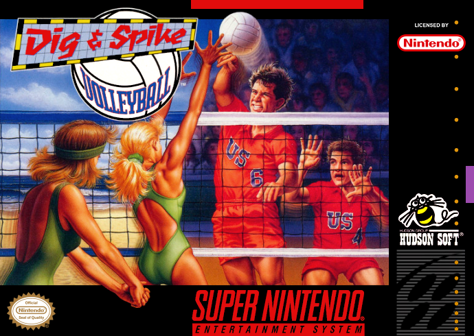 Dig & Spike Volleyball (USA) Cover